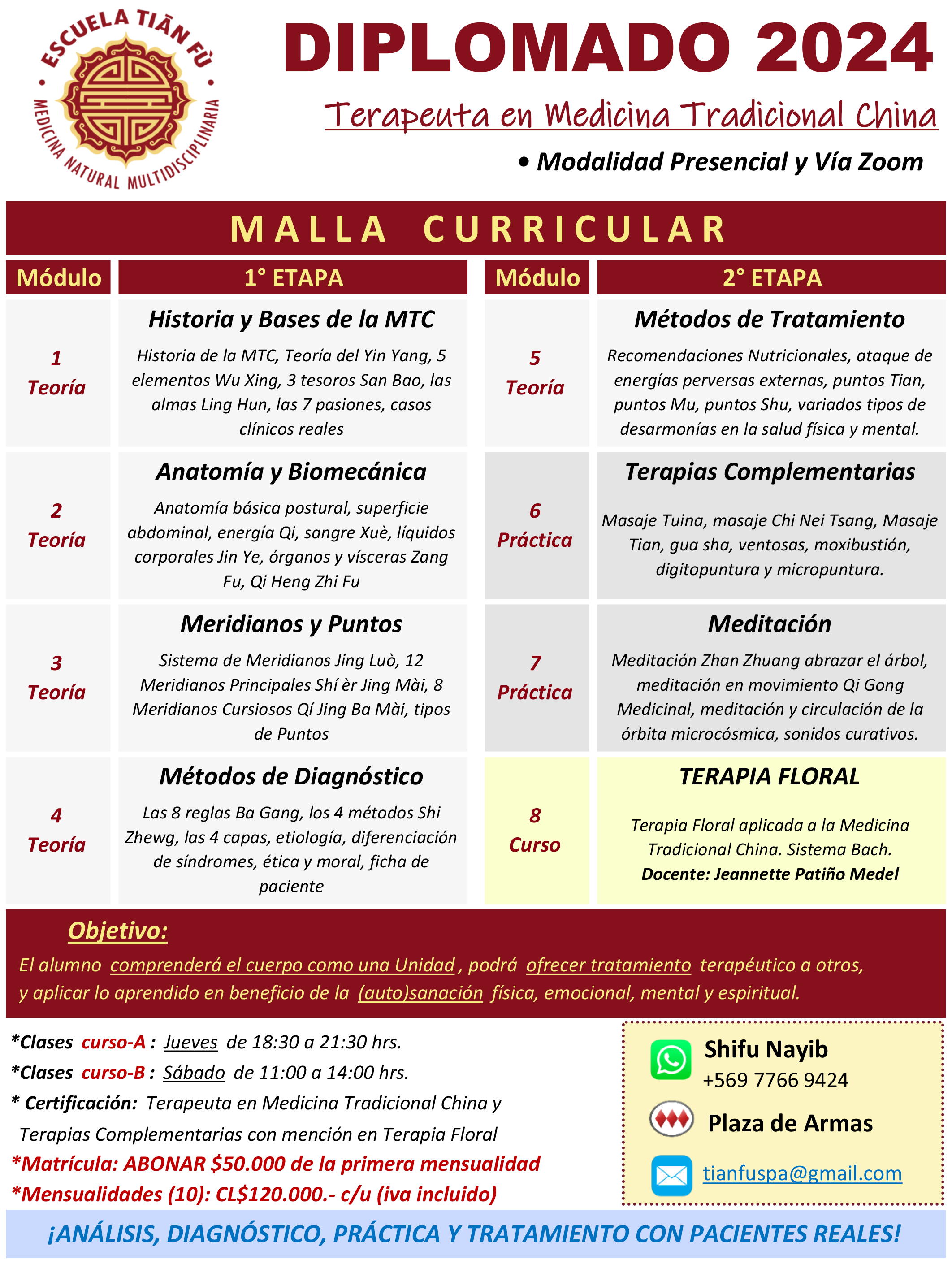 MALLA CURRICULAR MEDICINA CHINA 2024